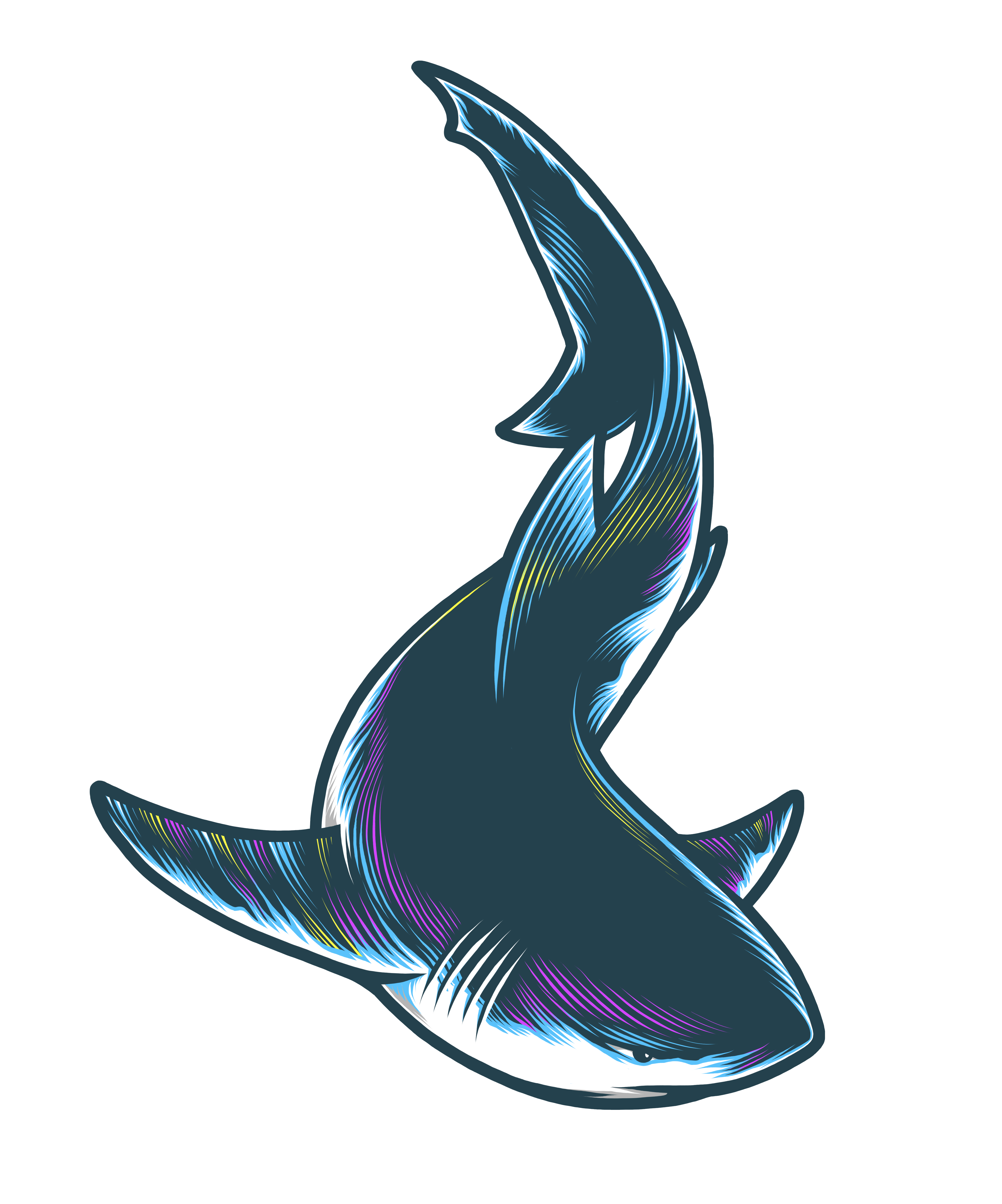 Pipefin Logo