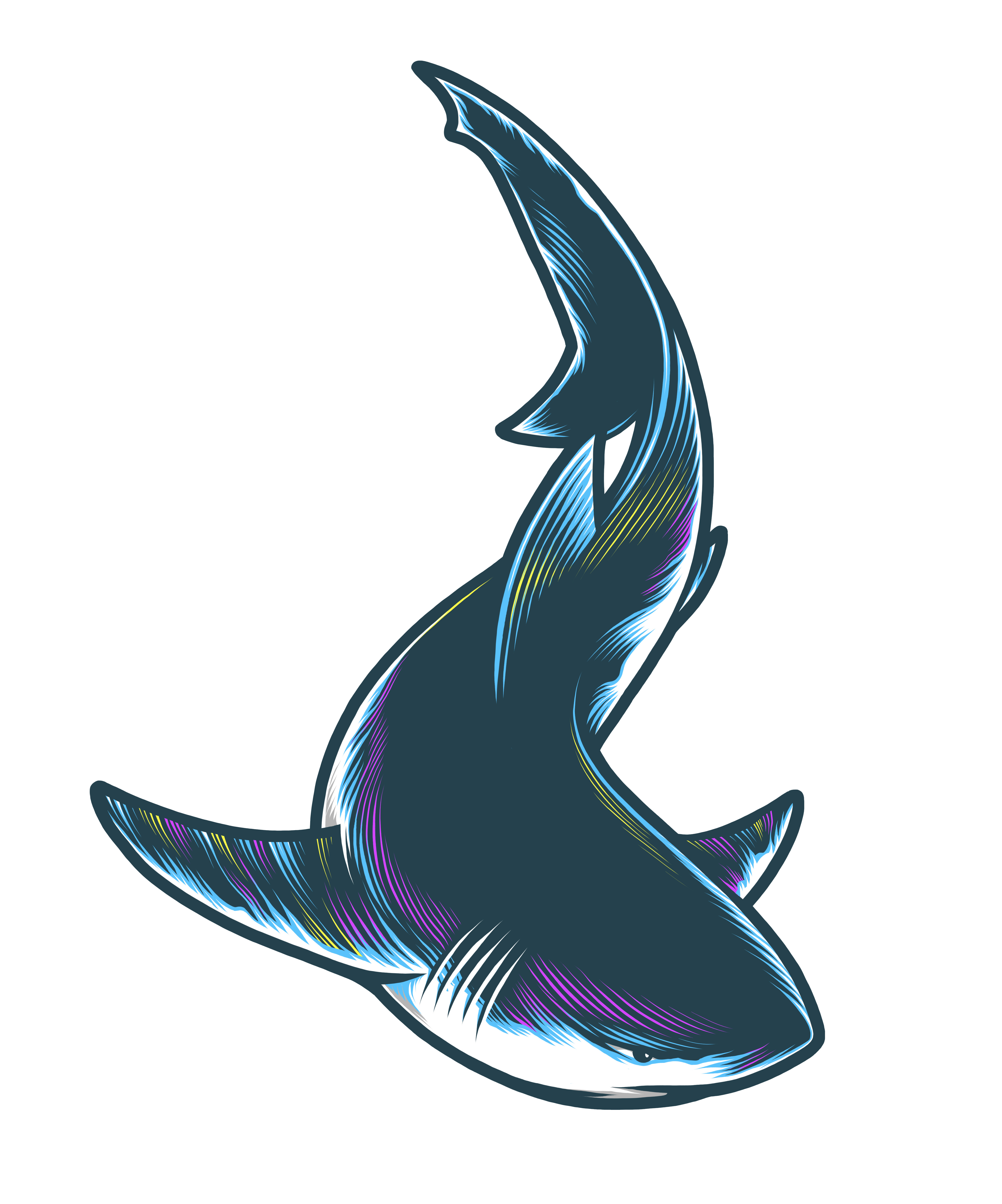 Pipefin Logo Background